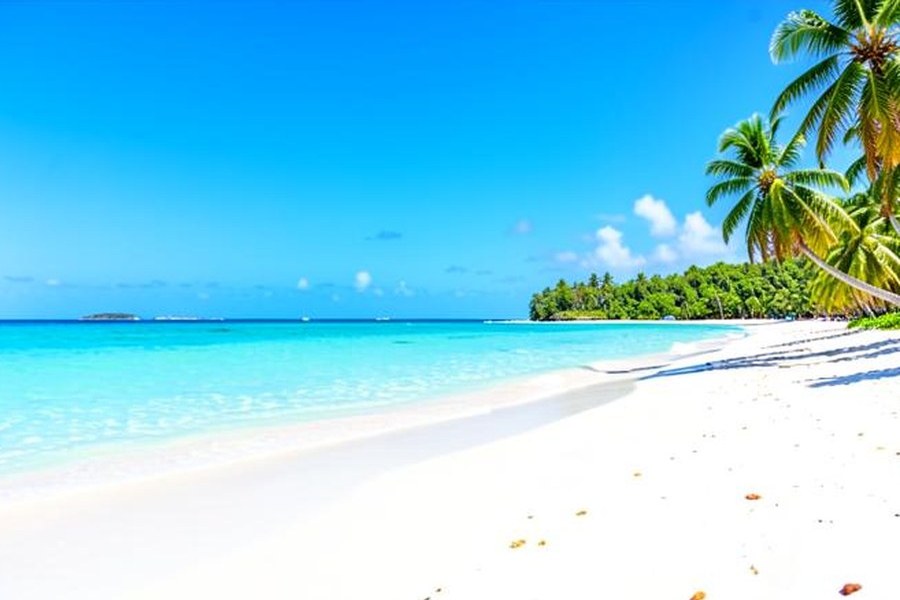 Punta Cana white sand beach and turquoise water
