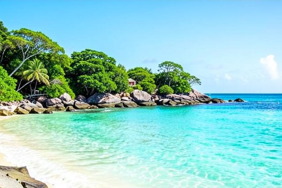 Barbados tropical beach with rocky coastline